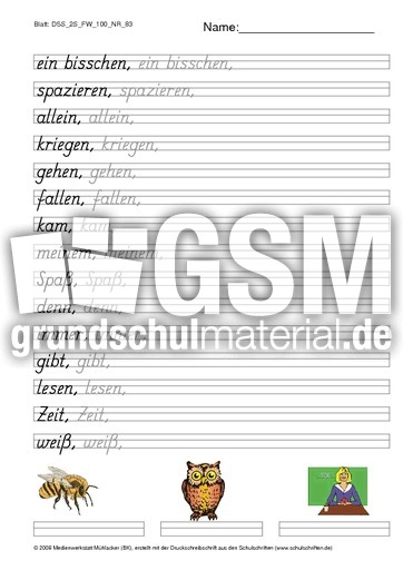 DSS_2S_FW_100_NR_83.pdf